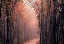 2025年足协杯：山东泰山队首战或将遭遇青岛红狮队.