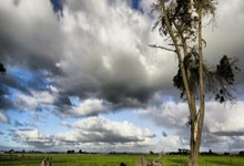 2024-2025全国滑雪定向挑战赛内蒙古鄂尔多斯站开赛2025-02-24.