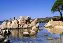 2023年全国跳水锦标赛落户武汉中国新闻网.